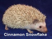 Cinnamon Snowflake Hedgehog - HEDGEHOGS by Vickie