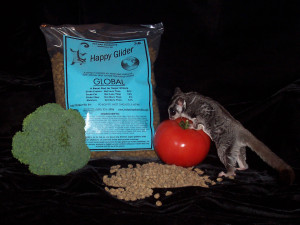 Happy Glider Sugar Glider Food Global - Hedgehogs by Vickie