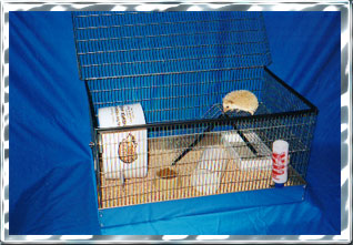 Custom Built Hedgehog Wire Cage - HEDGEHOGS by Vickie