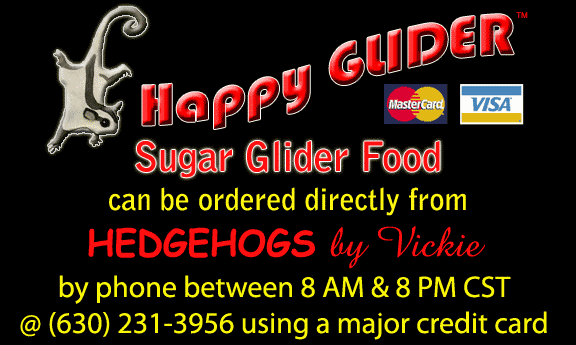 Happy GLIDER SUGAR GLIDER FOOD - HEDGEHOGS by Vickie